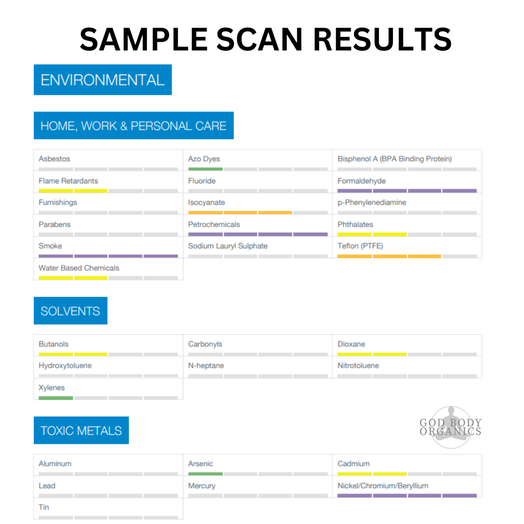 total-body-scan-godbodyorganics