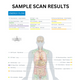Total Body Scan